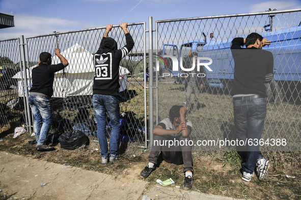 Migrants are waiting to enter to the transfer camp in Opatovac near border crossing point between Serbia and Croatia. Opatovac, Croatia. Sep...