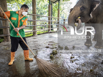 An Elephant caretaker cleaning the elephant feces at the Elephant place at the zoo. During pandemic covid19 Zoo Animal Garden at South Jakar...