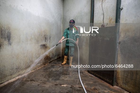 RIDO care taker of Sumateran Tiger at the zoo cleaning the cage of the tiger. During pandemic covid19 Zoo Animal Garden at South Jakarta clo...