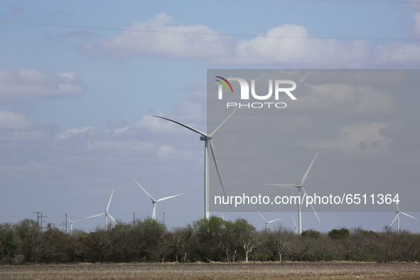 Wind turbines in Sebastian, Texas on March 9, 2021. After February's historic Texas power outages ERCOT and the Texas power grid at large is...