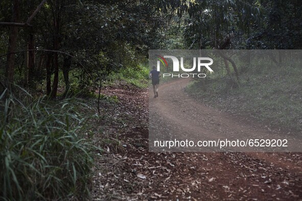A Walk Along Karura Forest, One Of The Biggest Urban Forests In The World, In Nairobi, Kenya, On February 27, 2021. 