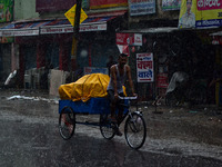 An indian trolly puller rides on trolly during heavy rains,in Allahabad on June 24,2015. (