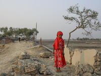Salinity effect seen in soil as a result trees has died after Cyclone amphan hit in Satkhira, Bangladesh on March 20, 2021. Deep cracks seen...
