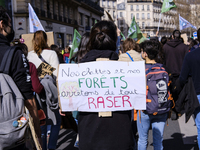 Signs and placard against global warming, held by young demonstrators during the demonstration, march for the climate, and against the clima...