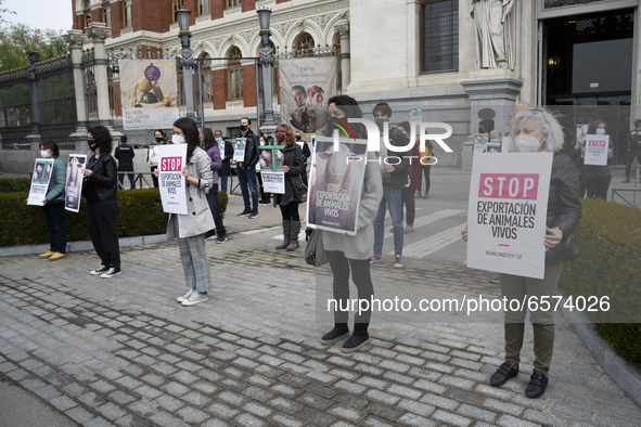 Animal Equality activists participate in the rally called before the Ministry of Agriculture, Fisheries and Food in Madrid, Spain, on March...