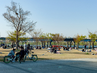 People enjoy picnic at Han River Park in Yeouido on April 8, 2021 in Seoul, South Korea. South Korea has 700 COVID-19 confirmed today, and t...