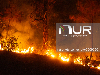 A hill burns during a wildfire in the forest of Nagarkot in Bhaktapur, Nepal on April 11, 2021. (