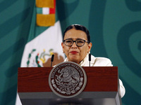 The Secretary of Security and Citizen Protection of Mexico, Rosa Icela Rodriguez  speaks during a Daily Morning press conference at National...