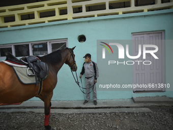 A decorated Nepalese Army's trained horse arrives to take part in Ghode Jatra or the 'Festival of Horse' celebrated at the Army Pavilion, Ka...