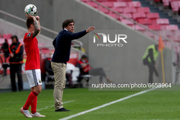 CD Santa Clara's head coach Daniel Ramos gestures during the Portuguese League football match between SL Benfica and CD Santa Clara at the L...