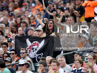 Pirates fans cheer from the stands after Neil Walker hit a two-run home run in the third inning of a baseball game against the Detroit Tiger...