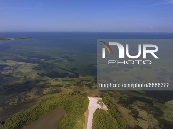 An aerial view of Tampa Bay near Port Manatee in Palmetto, Florida Tuesday, May 4, 2021. More than 200 million gallons of wastewater from Pi...