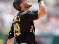 Pittsburgh Pirates' Francisco Cervelli celebrates his solo home run in the fourth inning of a baseball game against the Detroit Tigers in De...