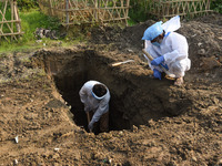 Municipal workers  digging to bury a body of a person who died of COVID-19 coronavirus, in Guwahati, Assam, India on 7 May 2021. A new wave...