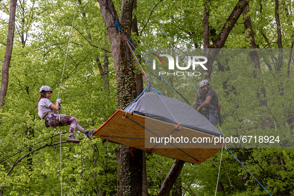 Environmental activists hung a tent on a tree on May 14, 2021 near Arlamow, Carpathians mountains, south-eastern Poland. The Wild Carpathian...