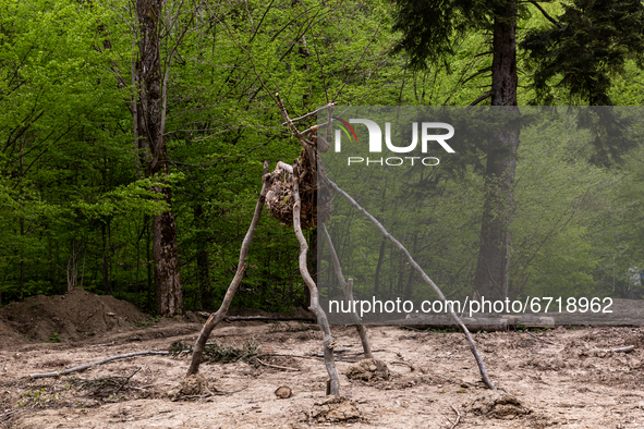 Deer sculpture is seen during an environmental protest on May 14, 2021 near Arlamow, Carpathians mountains, south-eastern Poland. The Wild C...