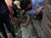 Kashmiri people clean the blood stains inside damaged residential house after encounter between Indian Forces and Alledged militants was ove...