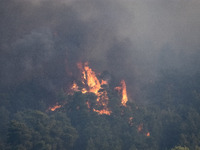 Wildfire at Αlepohori prefecture of Corinth at Gerania mountains 75km outside Athens, Greece on May 20, 2021. (