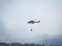 Wildfire at Αlepohori prefecture of Corinth at Gerania mountains 75km outside Athens, Greece on May 20, 2021. (