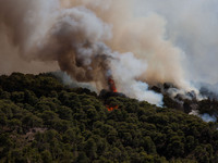 A view of the site during a forest fire in Alepochori, in Korinthos area, west of Athens, Greece on May 21, 2021. (
