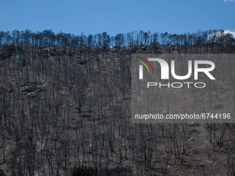 A burnt mountain slope in Mavrolimni  in Korinthos area, west of Athens, Greece on May 21, 2021. (