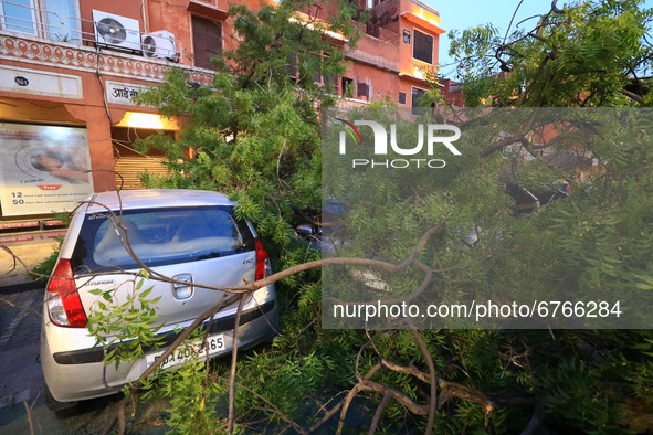  Vehicles damaged under an uprooted tree following a heavy storm at Kishanpole Bazar in Jaipur, Rajasthan, India, Sunday, May 30, 2021.