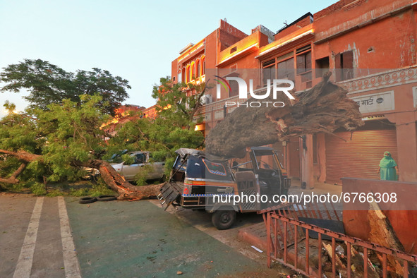  Vehicles damaged under an uprooted tree following a heavy storm at Kishanpole Bazar in Jaipur, Rajasthan, India, Sunday, May 30, 2021.