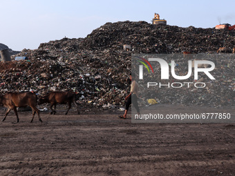 A ragpicker walkig next to a garbage-heap at Boragaon dumping site, on the eve of World Environment Day, in Guwahati, Assam, India on Friday...