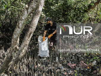 Volunteers of Sungai Watch take part in cleaning river canal from plastic trashes near mangrove forest during the World Environment Day in D...