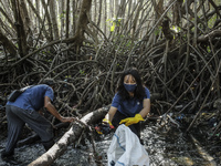 Volunteers of Sungai Watch take part in cleaning river canal from plastic trashes around mangrove forest during the World Environment Day in...