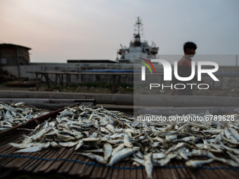 An Indonesian fisherman dries fish at a fishermen village in the North of Indonesia capital Jakarta on 8 June 2021. As people around the wor...