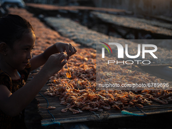 A little girl dries shrimp at a fishermen village in the North of Indonesia capital Jakarta on 8 June 2021. As people around the world mark...