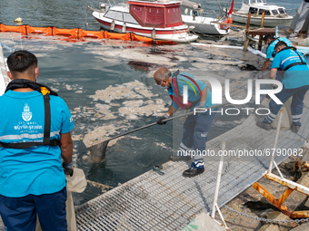 Municipality workers operate to clean the mucilage on the surface of the Caddebostan shore of the Marmara Sea in Istanbul, Turkey, on June 8...