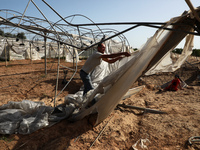 A Palestinian farmer inspect a damaged field in the wake of recent Israeli air strikes during an 11-day war between Gaza's Hamas rulers and...