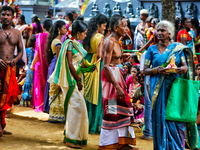 Tamil Hindu devotees celebrate the Amman Ther Thiruvizha Festival at the Tellipalai Amman Temple in Tellipalai, Northern Province, Sri Lanka...