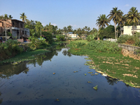 Sewage and rubbish clog a waterway in Anayara, Pattom, Thiruvananthapuram (Trivandrum), Kerala, India on February 10, 2020. (