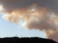 A forest fire in Martorell raises a thick column of smoke over Barcelona, on 14th July 2021. Photo: Joan Valls/Urbanandsport /NurPhoto
 -- (
