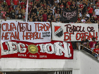 CSKA Sofia fans raise posters STOP LGBT TERROR. I'M NERVOUS and LOOKING FOR BULGARIAN ORBAN during 2021 Bulgarian Supercup final between Lud...