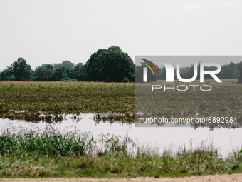a flooded field is seen in Erftstadt, Germany on July 21, 2021 after a major flood in Germany. (