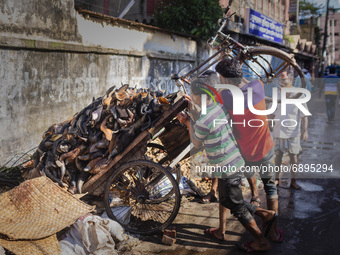 Workers are dumping cow ears which are not useable in the tannery industry.
 On July 22, 2021 in Dhaka, Bangladesh. (
