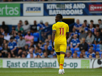 Crystal Palaces Wilfried Zaha during the Pre-season Friendly match between Ipswich Town and Crystal Palace at Portman Road, Ipswich, England...