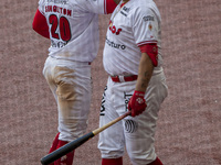 Jon Singleton #20 and Japhet Amador #29  of the Diablos Rojos  during the match of the Mexican Baseball League game between Diablos Rojos an...