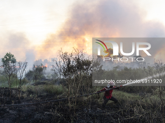 Peatland fires occurred on Wednesday, July 28, 2021 in Sungai Rambutan village, Ogan Ilir Regency, South Sumatra. This peatland burned at 4....