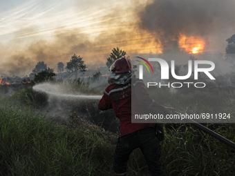 Peatland fires occurred on Wednesday, July 28, 2021 in Sungai Rambutan village, Ogan Ilir Regency, South Sumatra. This peatland burned at 4....