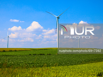 Wind turbines are seen next to the potato field in Gac village near Lancut, Podkarpackie voivodeship in Poland on July 6th, 2021. (