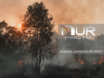 A peat land fire is seen at in Ogan Ilir,South Sumatera, Indonesia on July 31, 2021.  (