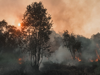A peat land fire is seen at in Ogan Ilir,South Sumatera, Indonesia on July 31, 2021.  (