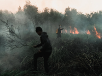 Villagers tries to extinguish peatland fire at in Ogan Ilir,South Sumatra, Indonesia on July 31, 2021. (
