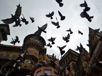 Pigeons fly over the Darbhanga Ghat during rains,on the banks of River Ganges,in Varanasi on July 16,2015. (