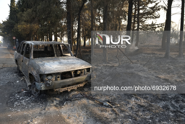 A car is destroyed beside a burnt down pine forest in the northern suburb of Athens Varimpompi, on August 4, 2021. 